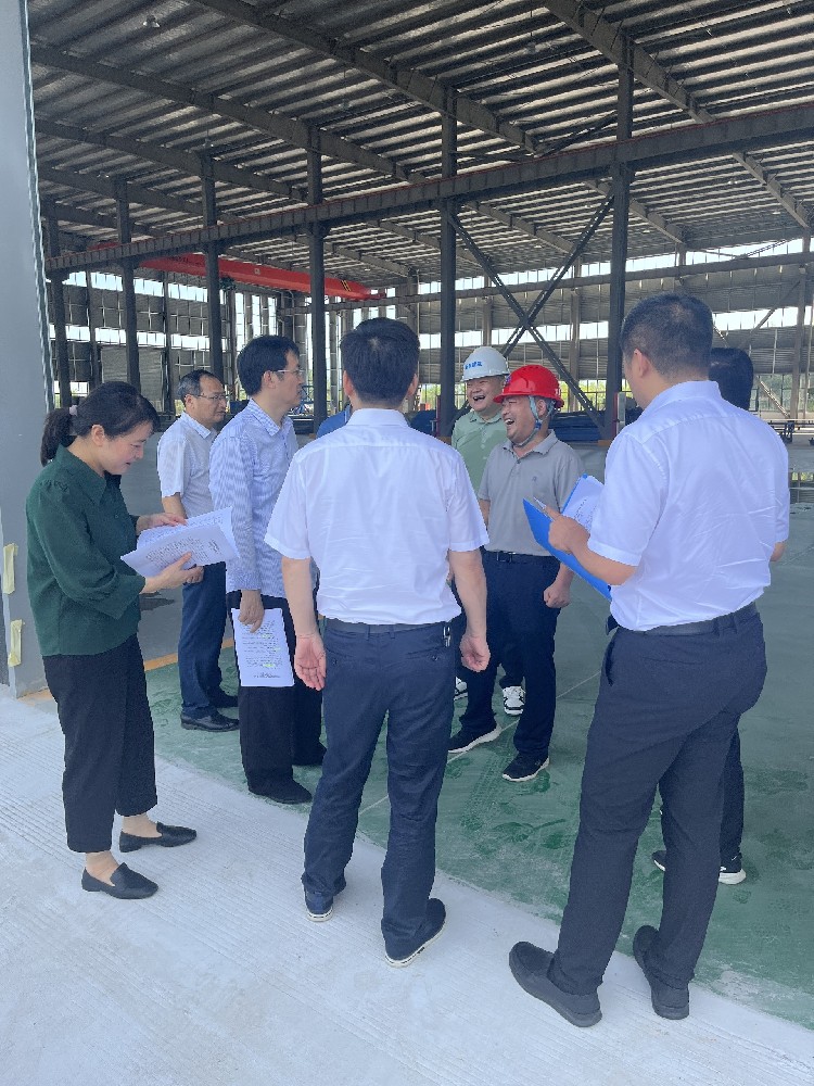 潘市长一行来公司检查工作
